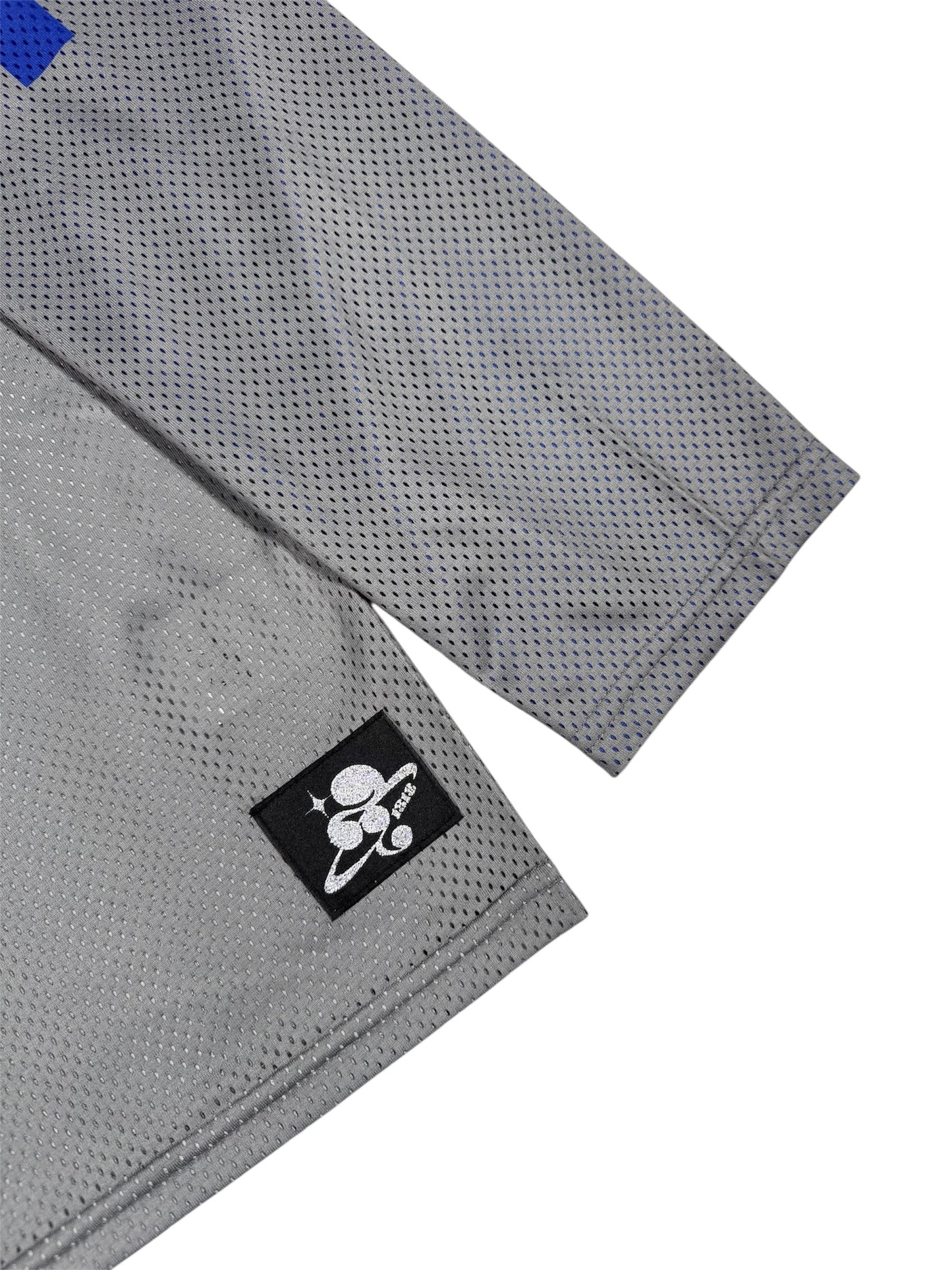 MESH TEAM L/S TEE gray