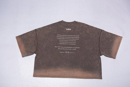 WASHED BIG TEE gray