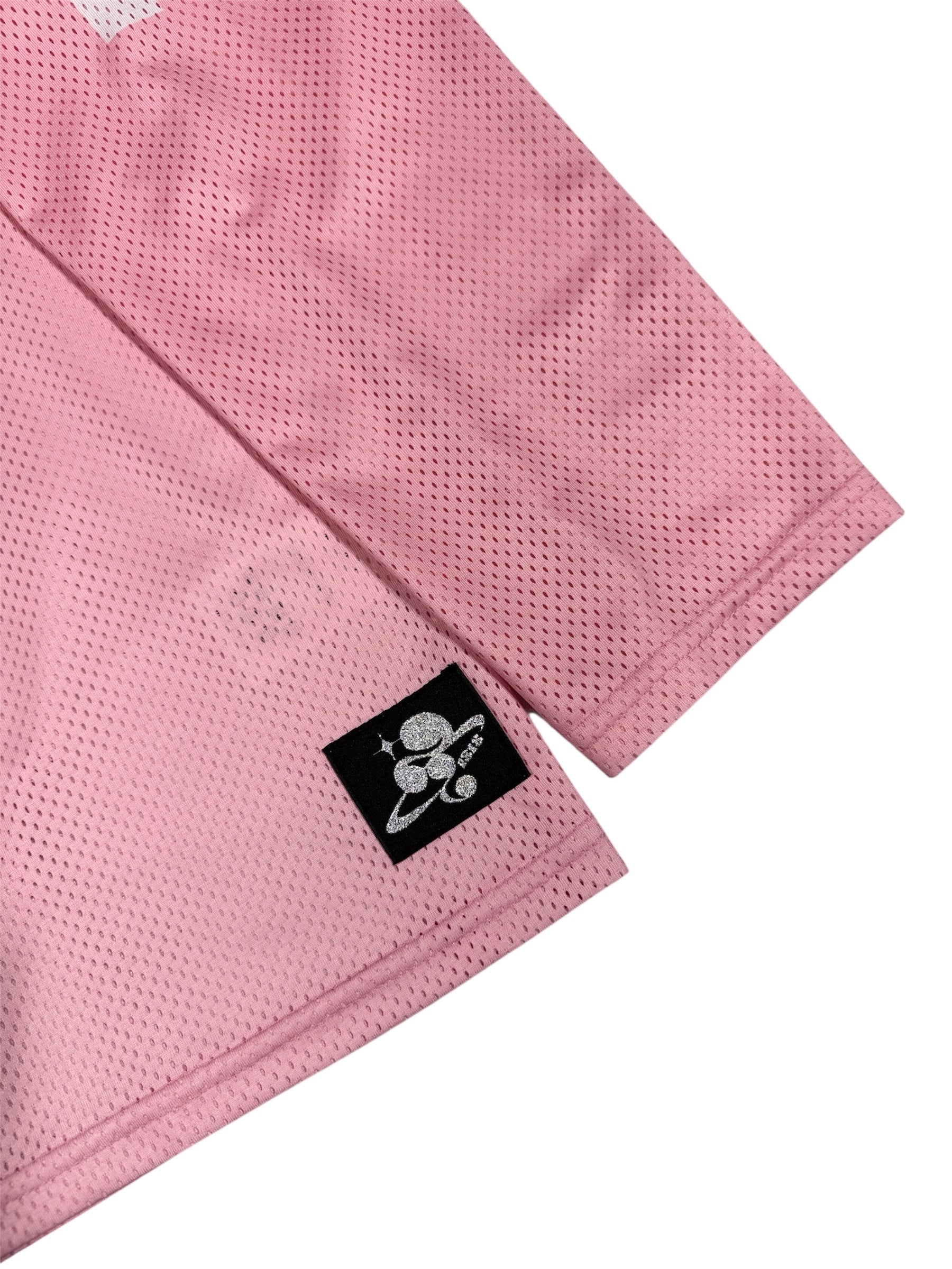 MESH TEAM L/S TEE pink – 1818